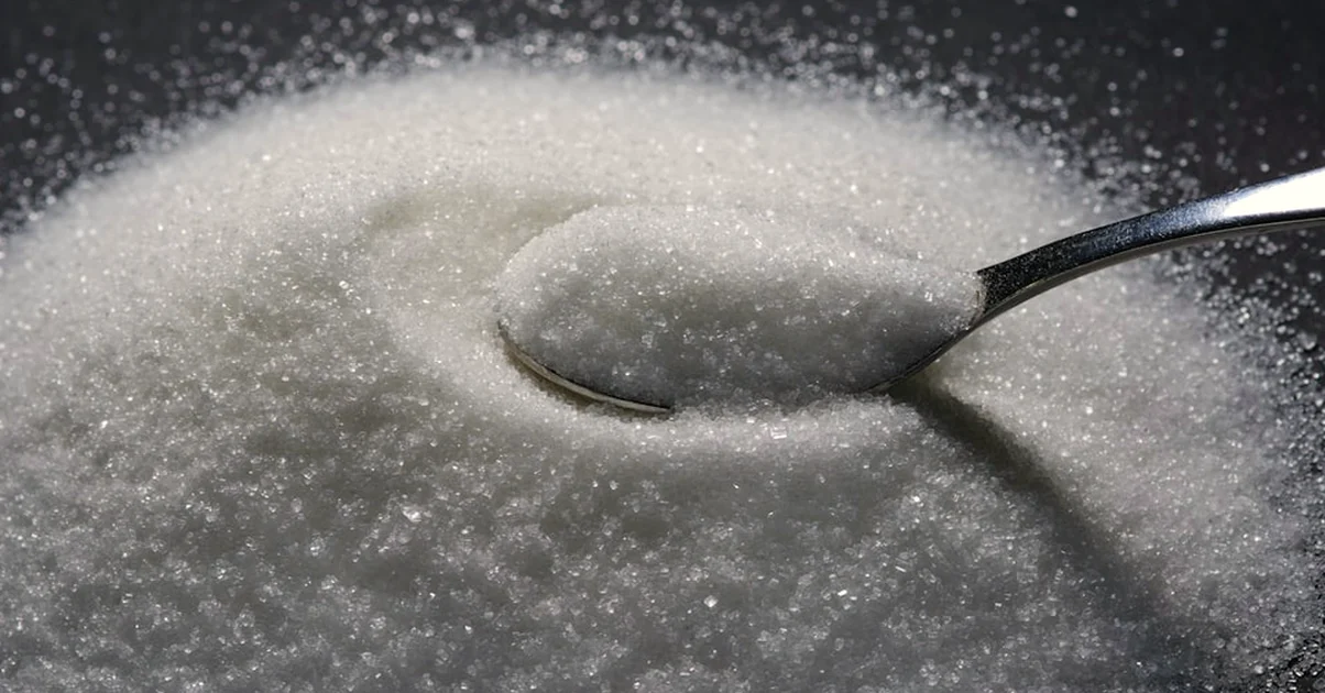 The sugar mistake that makes hummingbird nectar spoil